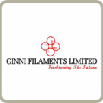 Ginni Filaments Limited